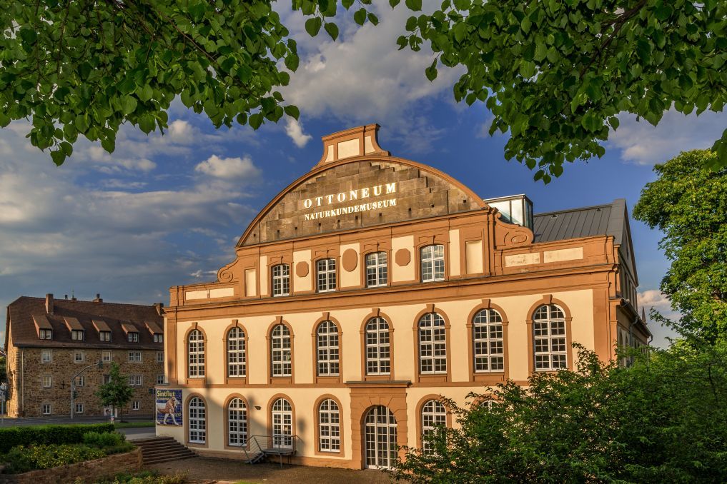 Naturkundemuseum 